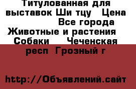 Титулованная для выставок Ши-тцу › Цена ­ 100 000 - Все города Животные и растения » Собаки   . Чеченская респ.,Грозный г.